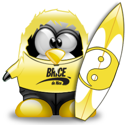 penguin pingouin pinguino 739